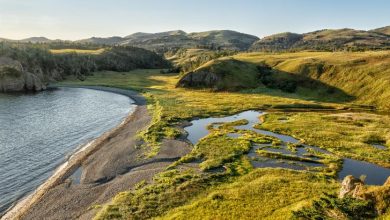 Photo of Топ-40 горячих клипов