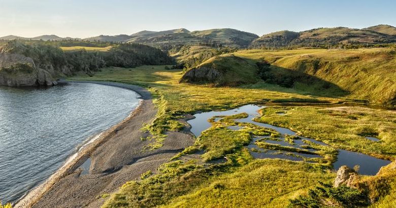 Photo of Топ-40 горячих клипов