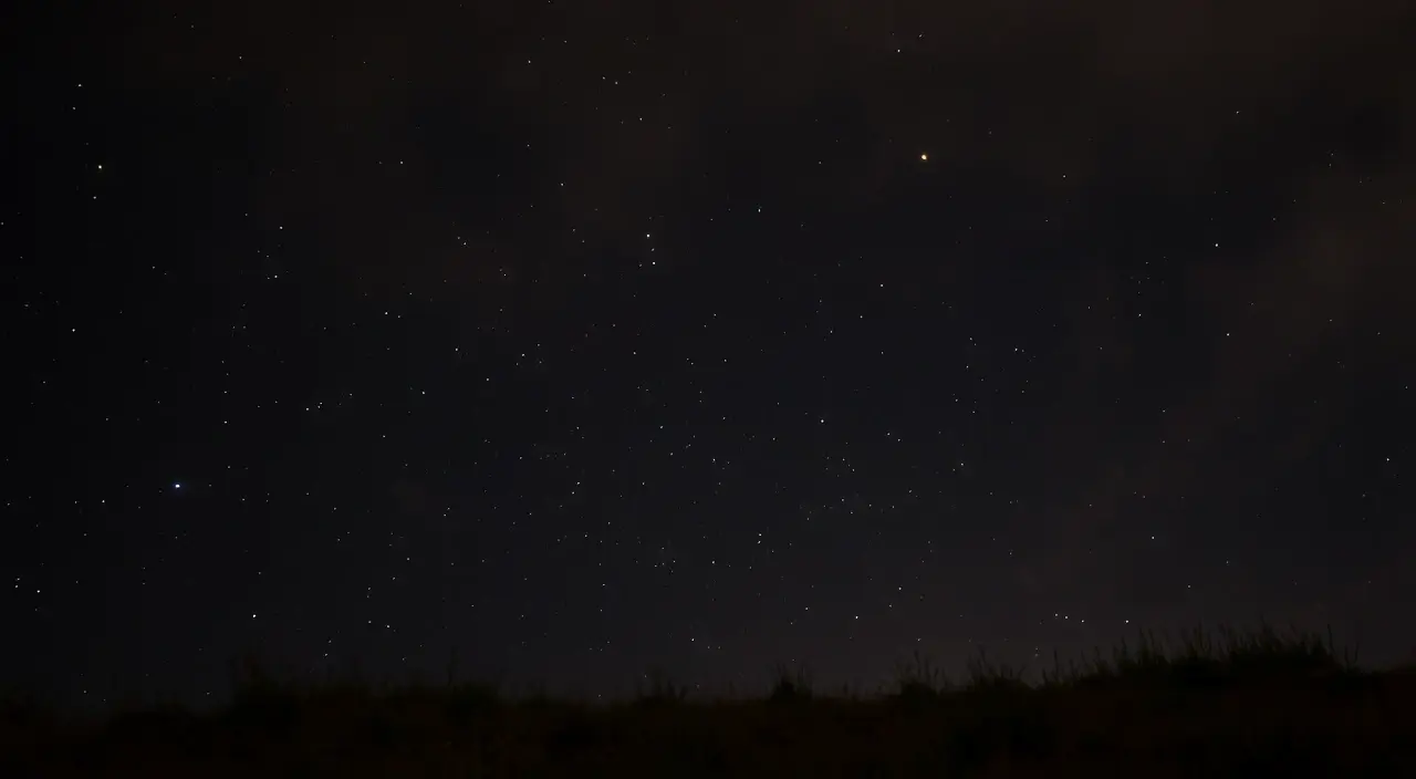 Photo of Какие клипы нравятся звездам